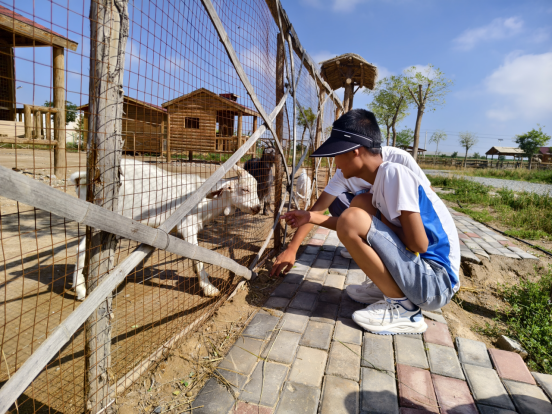 人生就是博·(中国区)官方网站