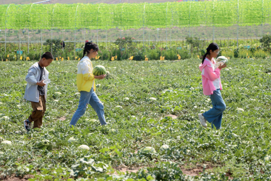 人生就是博·(中国区)官方网站