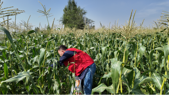 人生就是博·(中国区)官方网站