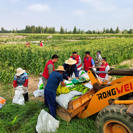 人生就是博·(中国区)官方网站
